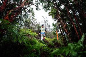 BIB: 
                            <button type="button" onclick="openModal(26203246)" class="btn btn-primary btn-sm float-right btn-popup" data-toggle="modal" data-target=".modal-high-quality">
                        <i class="fas fa-shopping-cart"></i> Add to Cart
                    </button>
                                            <button type="button" onclick="isThisMe(26203246, true)" class="btn btn-success btn-sm float-right btn-popup btn-isme hidden" data-toggle="tooltip" data-placement="bottom" title="นี่คือรูปของคุณใช่ไหม คลิกที่นี่เพื่อเอาเข้าอัลบั้ม">
                        <i class="fas fa-plus"></i> Add to album
                    </button>
                    <button type="button" onclick="isThisMe(26203246, false)" class="btn btn-warning btn-sm float-right btn-popup btn-isnotme hidden">
                        <i class="fas fa-ban"></i> Remove from album
                    </button>